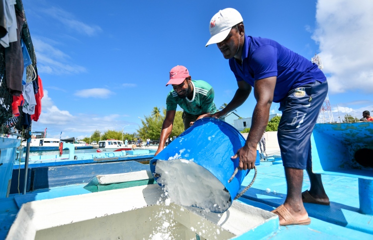 ކޮންމެ މަސްދޯންޏަކަށް ތިން ޓަނުގެ އައިސް ހިލޭ ދެނީ