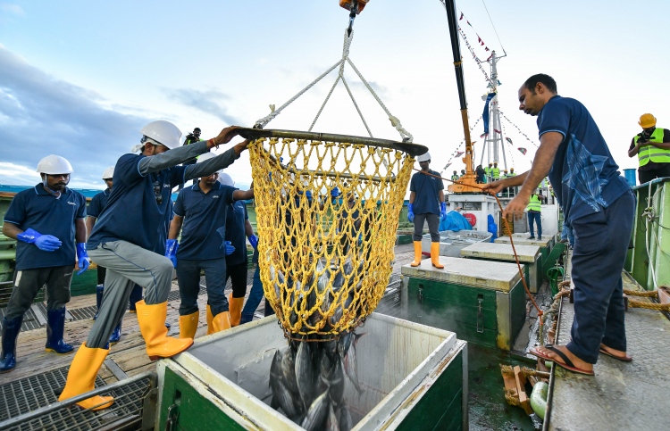 މިފްކޯއަށް އެންމެ ގިނައިން މަސް ކިރުވީ ޖެނުއަރީގައި