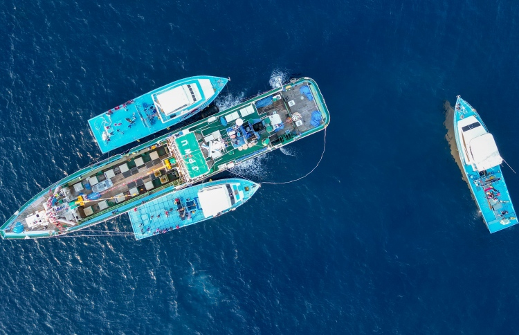 މަސްވެރިންނަށް 66 މިލިއަން ރުފިޔާ ޖަމާކޮށްދީފި