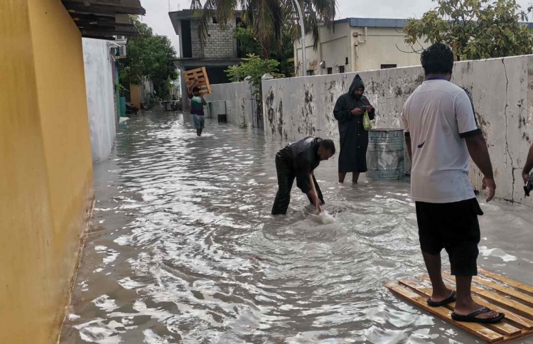 ތިން ގަޑިއިރުން ނައިފަރު ފެނު އަޑީގައި