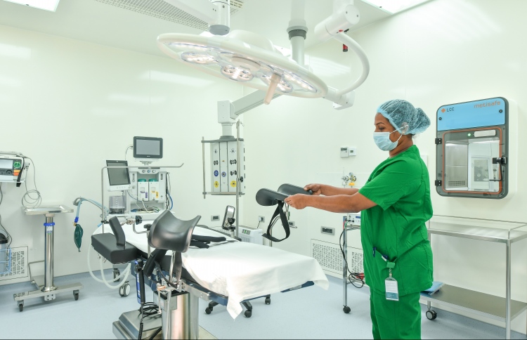 އައިޔޫއައިގެ ފަރުވާ ވެސް ޓްރީ ޓޮޕްގައި