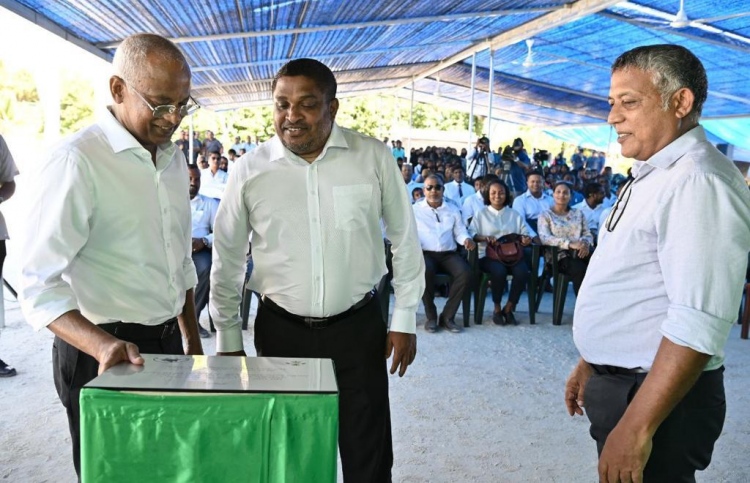 ދަރަނބޫދުއަށް ރީތި ބޮޑު ބަނދަރެއްގެ ނަސީބު