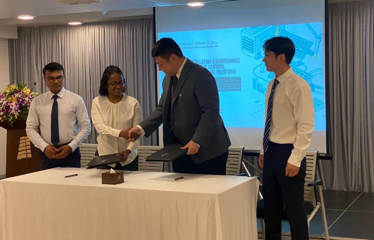 އަވީގެ ހަކަތައިން ހިންގާ އައިސް ޕްލާންޓުތައް ހަދަނީ