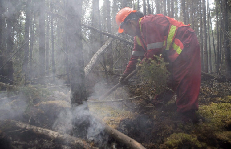 ކެނެޑާގެ ޖަންގަލީ ދުންތަކުން ސިއްހީ ބޮޑު ނުރައްކަލެއް