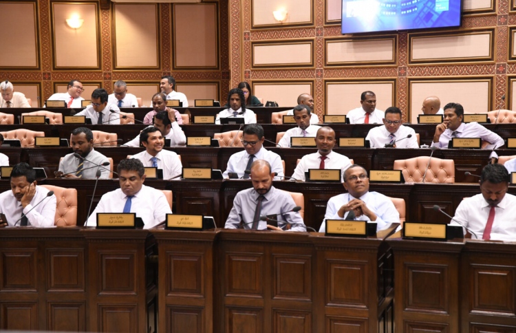 އެންމެ ގިނަ މަސައްކަތް ކުރެވުނީ 19 ވަނަ މަޖިލީހުގައި