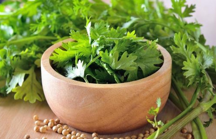 ކޮރިއެންޑާ ފަތުން ވަރަށް ގިނަ ފައިދާ