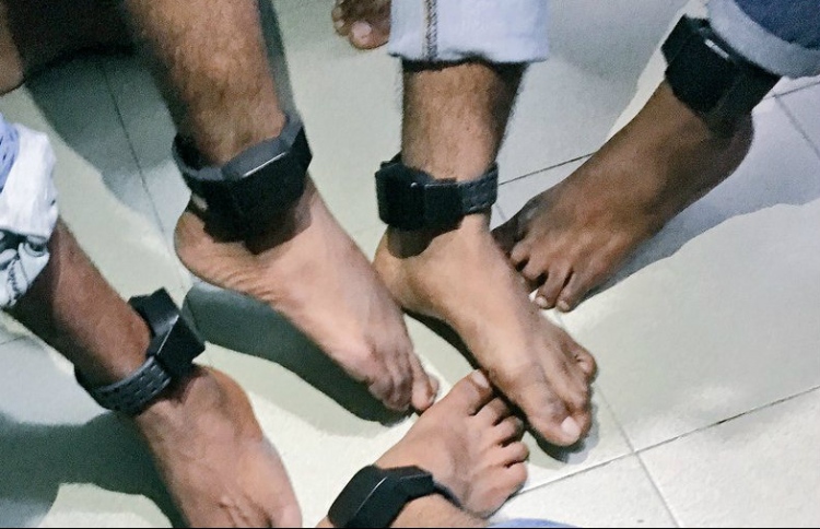 ޕީޖީން ނިންމީ 20 މީހަކު ބަންދުން ދޫނުކުރަން