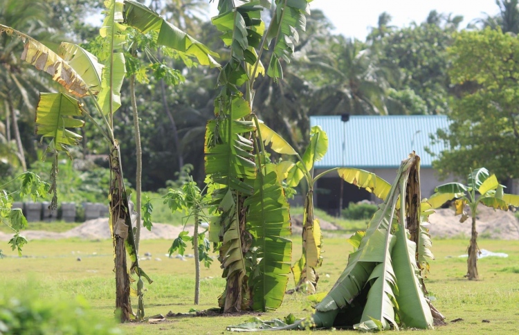 މަސައްކަތް ނުކުރާތީ ފޭދޫ ބޯޅަދަނޑުގަ ކެޔޮ އިންދައިފި