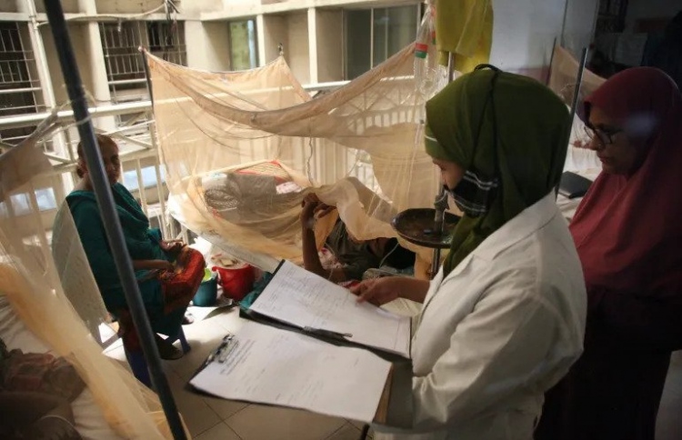 ބަންގްލަދޭޝްގައި ޑެންގޫ ފެތުރި 176 އަށްވުރެގިނަ މަރު