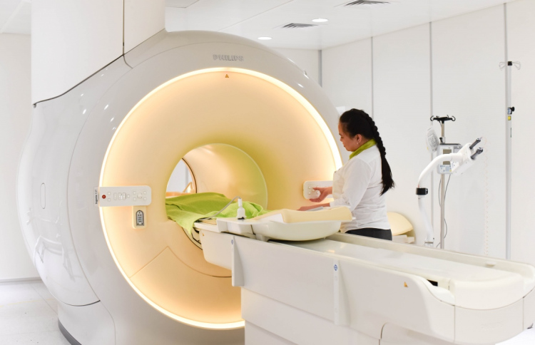 ޓްރީ ޓޮޕުން ހިލޭ އެމްއާރުއައި ހެދޭ ކެމްޕެއިނެއް