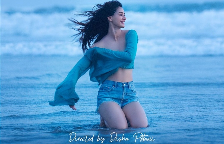 ދިޝާ ޑައިރެކްޓުކުރި ލަވައިގެ ޕޯސްޓަރު.