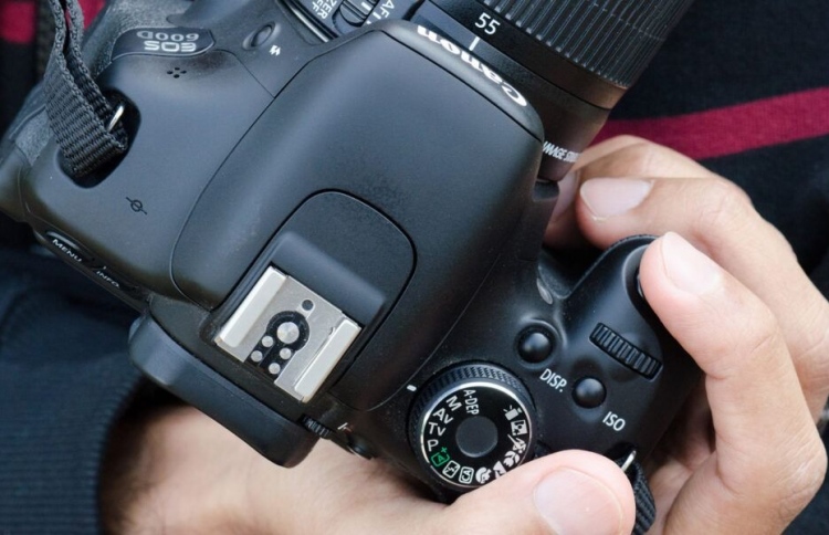 ސިމްޑީއިން ކެނޮން ފޮޓޯގްރަފީ ކޯސްތަކެއް ހިންގަނީ