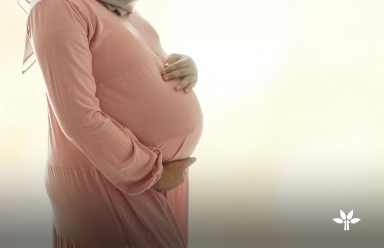 ޓްރީޓޮޕްގެ "ނާޗާ ޕްރޮގުރާމް" އަށް ހުޅުވާލައިފި