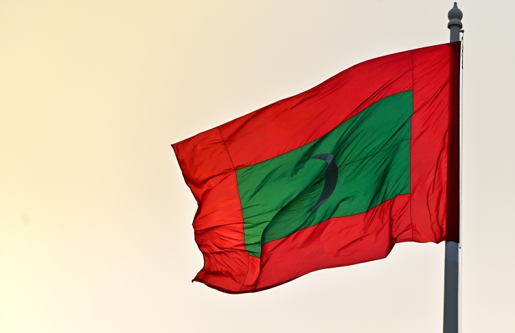 ދިވެހި ދިދަ ހިމާޔަތްކުރަން ގާނޫނެއް ހަދަނީ