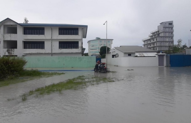 ވިއްސާރާގައި ހަތަރު ރަށެއްގައި ފެން ބޮޑުވެ ގެއްލުންވި