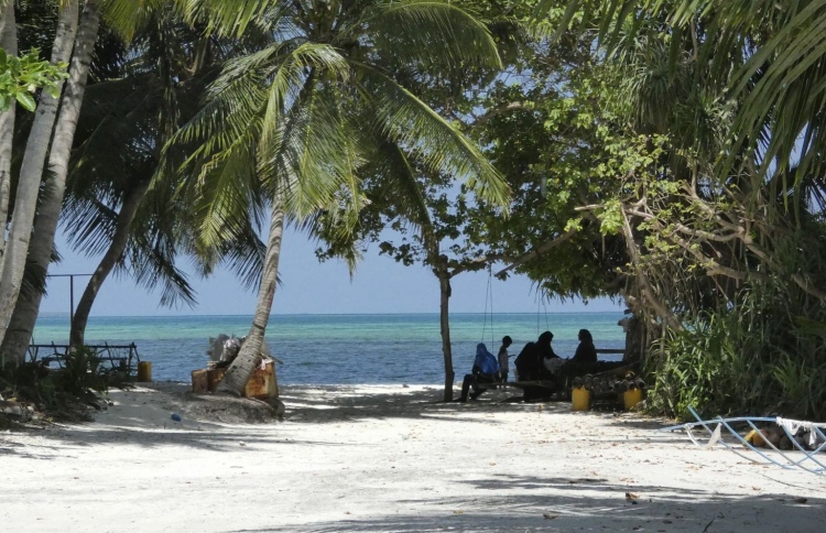 މާފަރު ވަގުންގެ ހާއްޔަކަށް، ރައްޔިތުން ގޮތް ހުސްވެފައި