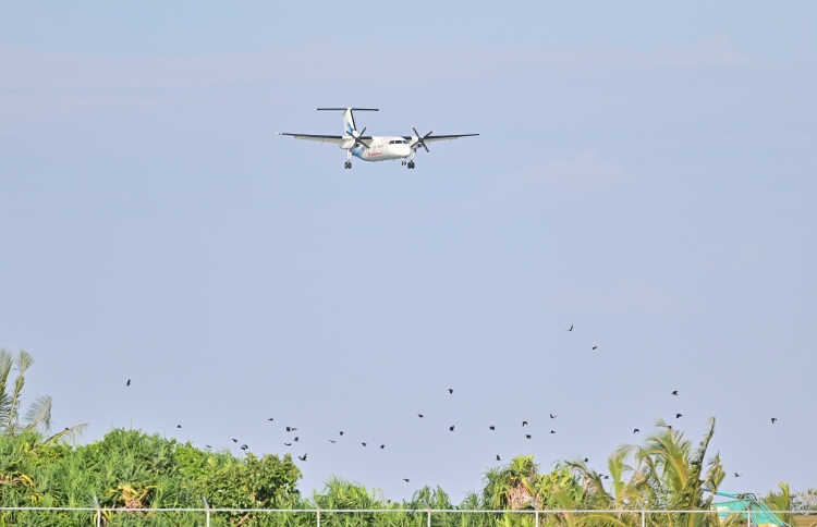 އައްޑު އާއި ކޫއްޑުއާ ދެމެދު ސީދާ ދަތުރުތައް ފަށަނީީ