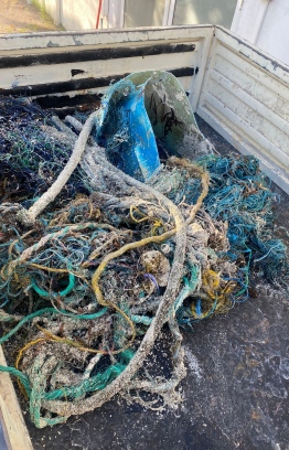 The fishing nets in which Noonu was stuck-- Photo: Reefscapers