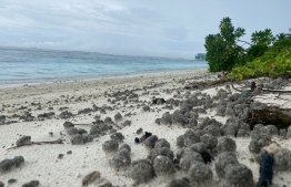 Tar balls washed up on Hulhumale' beach.-- Photo: Mihaaru
