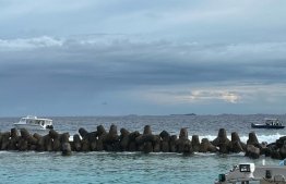 The area where the man tried to swim away.