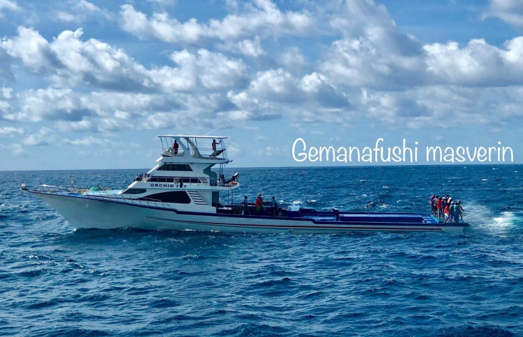 މަހަށް ނުކުމެ އުޅުނު މަސްދޯންޏެއް ދެބުރިވެއްޖެ