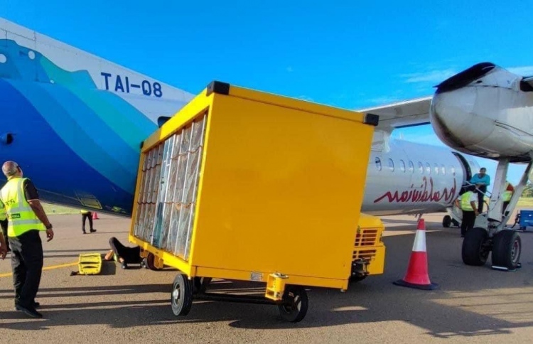 ކާގޯވެހިކަލެއް ފްލައިޓެއްގަ ޖެހި މީހަކަށް އަނިޔާވެއްޖެ