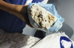 Ambergris discovered in Hulhumale'.