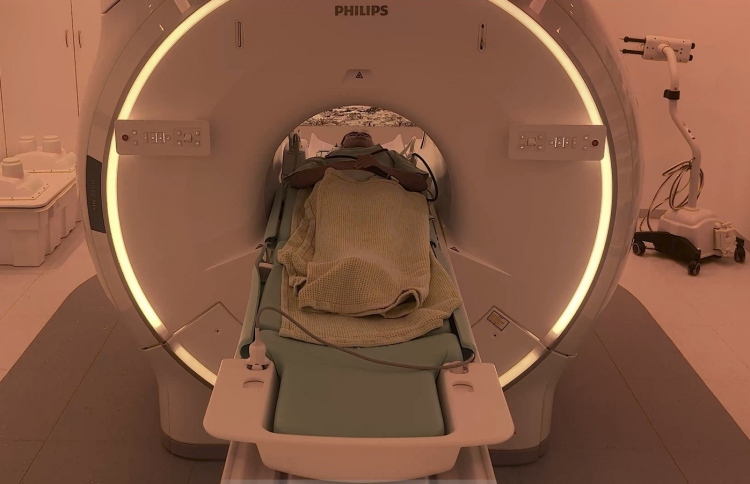 ޓްރީ ޓޮޕަށް އިތުރު އެމްއާރްއައި މެޝިނެއްގެ ހިދުމަތް