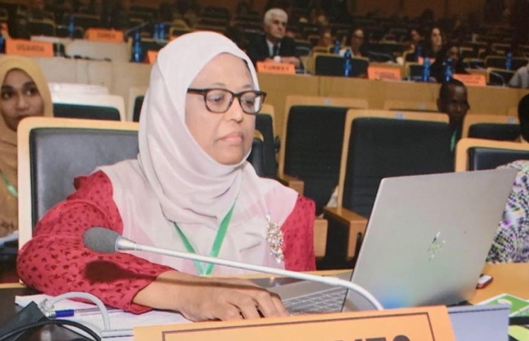 މަސްލަހަތު ފުށުއަރާ ބޭފުޅެއް އައިޖީއެމްއެޗް ބޯޑަށް!