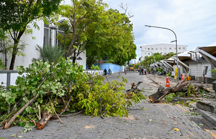 "ގަސްކަނޑާތީ ކައުންސިލަށް ޖިނާއީ ދައުވާ ކުރަންޖެހޭ"