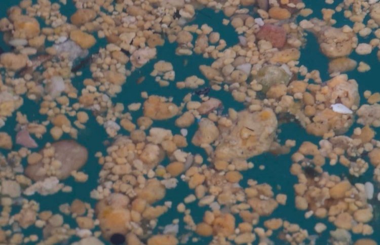 އަނެއްކާވެސް ފަތާ ޓްރެކް ނަޖިސްވާ މައްސަލަ!