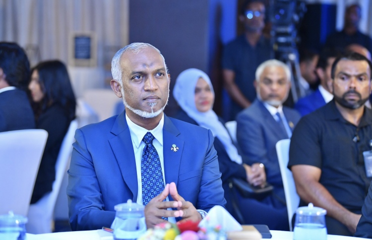 އެޒްއީޒެޑްގެ ފުރަތަމަ ޕްރޮޖެކްޓަކީ ސޯލާ ޕްރޮޖެކްޓެއް