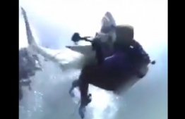 Screengrab from a video on social media showing the incident of the shark attack.