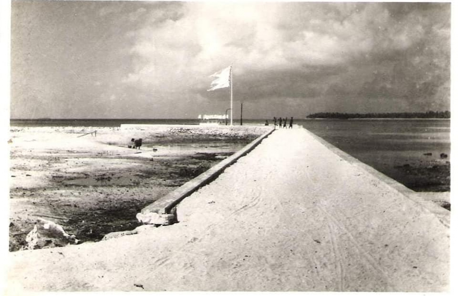 އަލިރަސްގެފާނު ޒިޔާރަތް އިހުގައި ހުރި ގޮތް.