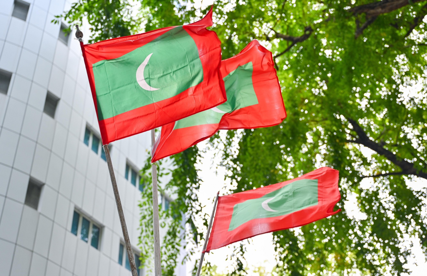 ޝަހީދުންގެ ދުވަހުގެ މުނާސަބަތުގައި މާލޭގެ މަގުތަކުގައި ދިވެހި ދިދަ ބަހައްޓައިފައި.-- ފޮޓޯ: ފަޔާޒް މޫސާ | މިހާރު