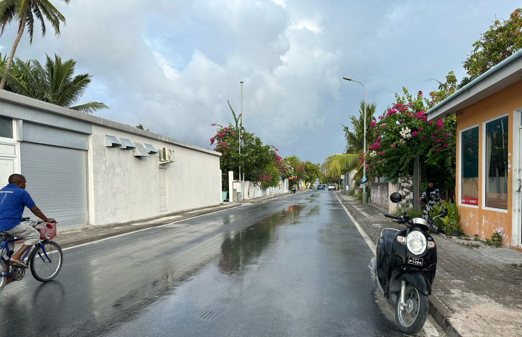 އައްޑޫގެ ހިއްކި ސަރަހައްދުން 251 ގޯތި ދޫކުރަނީ