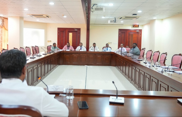 ކެންޑިޑޭޓުން ޕްރޮމޯޓް ކުރުމުގެ ނިޔަތެއް ނެތް: މިފްކޯ