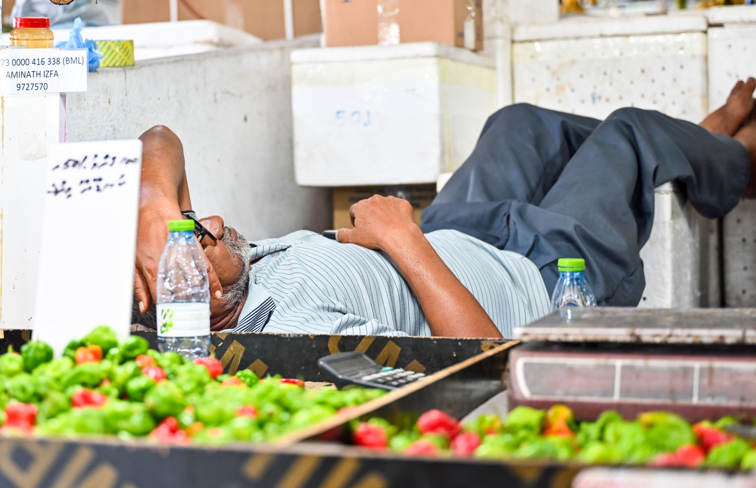 ލޯކަލް މާރުކޭޓުގެ ގޮޅިއެއްގައި މީހަކު. ބާޒާރުގައި ކަނޑޫދޫ މިރުސް ހުރީ 100 ގްރާމު 50ރ. އަށް -- ފޮޓޯ: ފަޔާޒް މޫސާ / މިހާރު