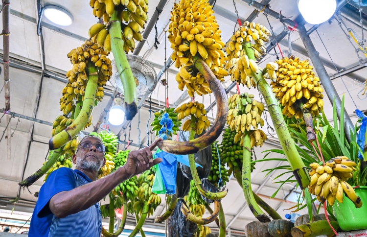 ރޯދަ އަށް ލޯކަލް މާރުކޭޓު ތިޔާގިވެއްޖެ