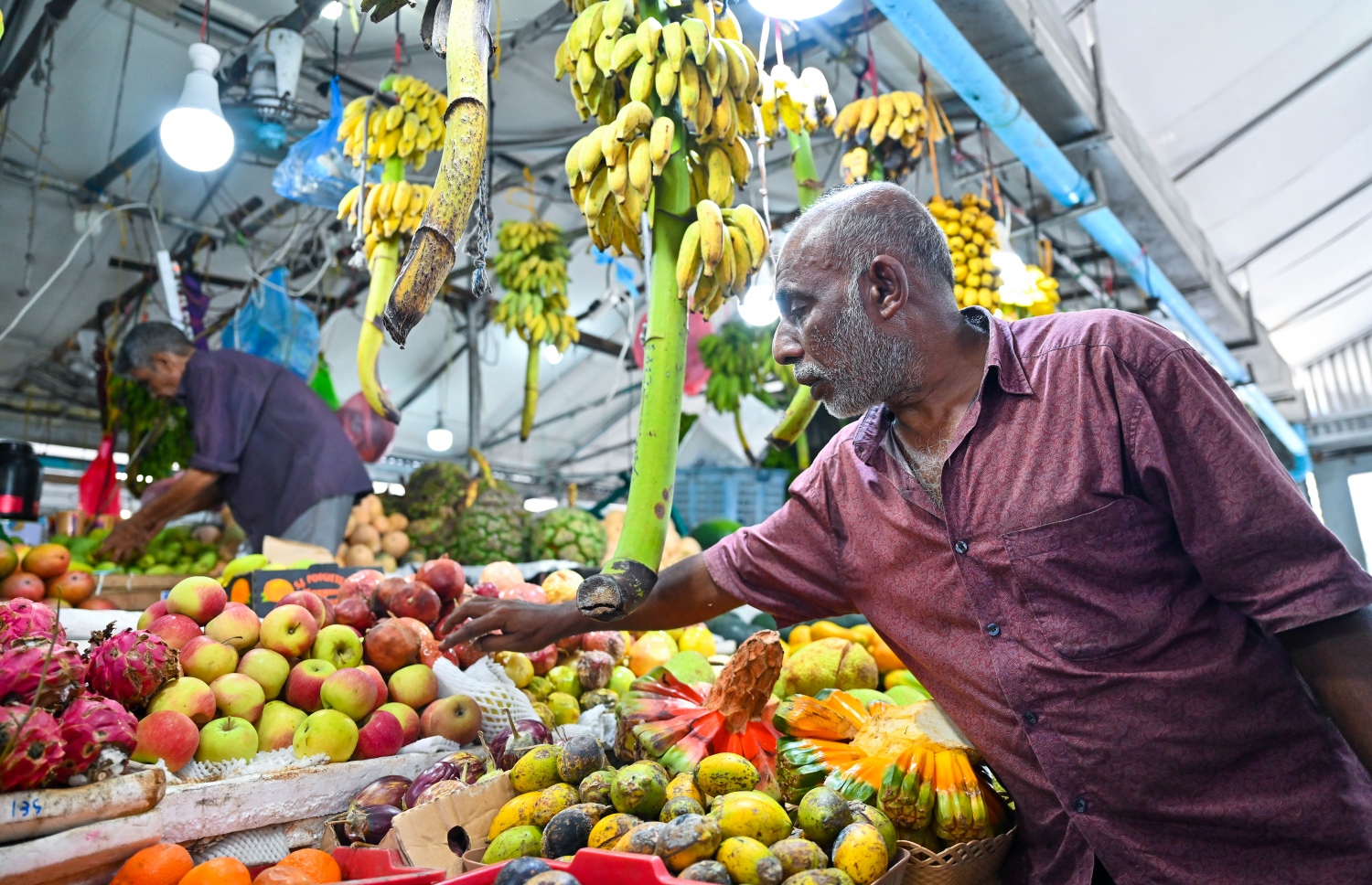 ލޯކަލް މާރުކޭޓުގައި ހުރި މޭވާގެ ބާވަތްތައް. މާރުކޭޓުގައި ގިނަ އަދަދެއްގެ އިމްޕޯޓު ބާވަތްތައް މިހާރު ވިއްކާ -- ފޮޓޯ: ފަޔާޒް މޫސާ / މިހާރު