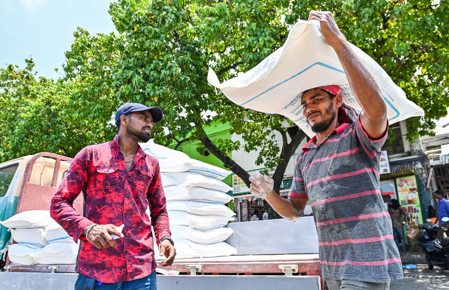 ބަޔަކު ކާޑުގެ ބައެއް ބާވަތްތަށް ބަނދަރު ސަރަހައްދުގައި އޮތް ދޯންޏަކަށް އަރުވަނީ. ހަތަރު ސަބްސިޑީއެއް ސީދާ ރައްޔިތުންގެ އެކައުންޓަށް ފޮނުވަން ވަނީ ނިންމާފައި -- ފޮޓޯ: ފަޔާޒު މޫސާ / މިހާރު