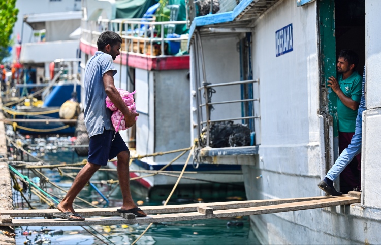 އިގްތިސާދީ އޮޑި ބީވިޔަ ނުދިނުމުގެ މަސައްކަތް ފެށުން