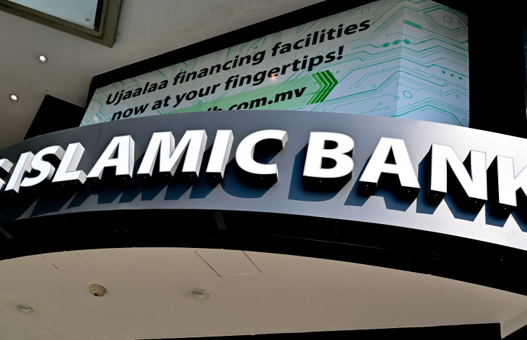 ލޯނެއް ނުދެއްކިގެން ގ. ފަނަސް ނީލަމުގައި ވިއްކާލަނީ