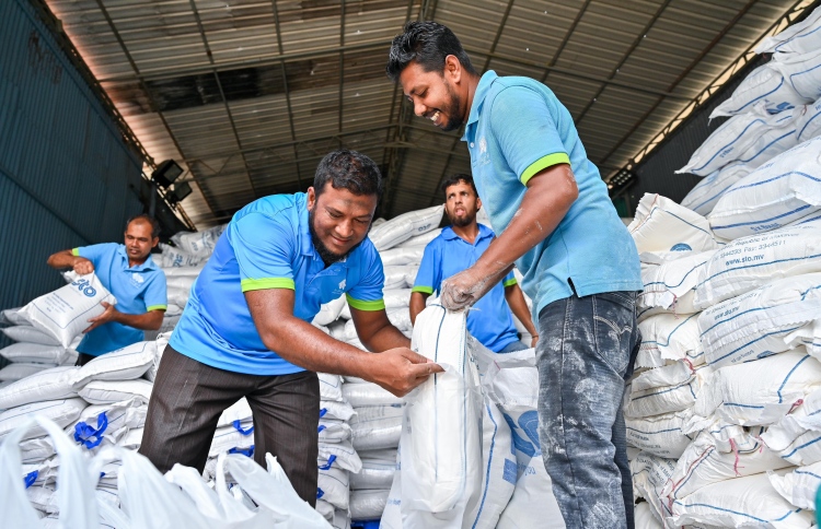 ގޭބިސީތަކަށް ކާޑުގެ ބާވަތްތައް ބަހަން ފަށައިފި