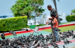 Bird feeding at Republic Square -- Photo: Nishan Ali
