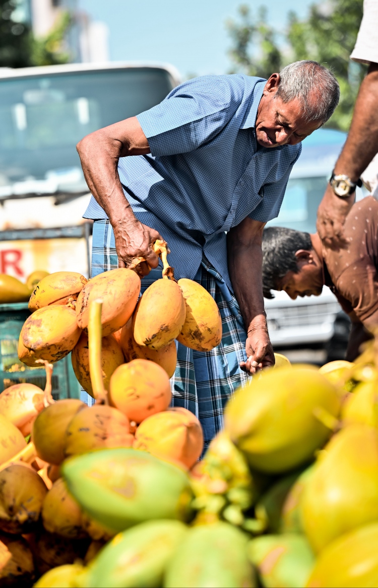 ބާޒާރުގައި ކުރުނބައެއް 70ރ. އިން މައްޗަށް