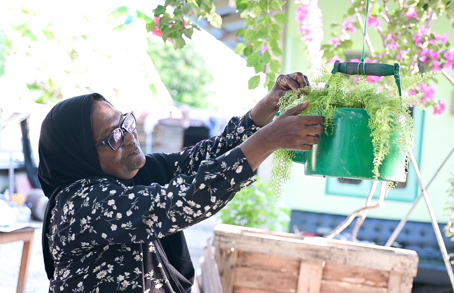 ނާޒިމާ، އެ ދެމަފިރިން ދިރިއުޅެމުން އަންނަ ގެ، ސްނޯލައިޓްގައި އިންދާފައިވާ ގަހެއް ކައިރީގައި.-- ފޮޓޯ: ފަޔާޒު މޫސާ/ މިހާރު