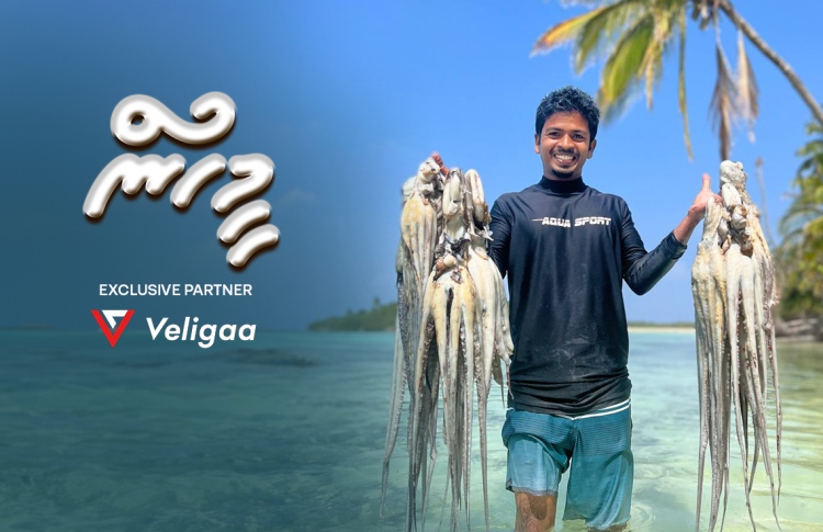 މި ޒުވާނާގެ ވިންދަކީ މަހާއި ކަކުންޏާއި ބޯވަ