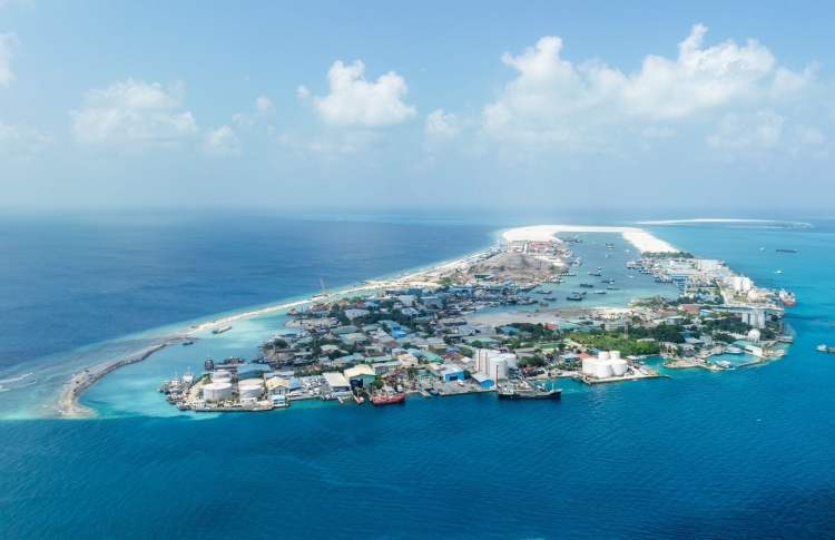 ތިލަފުށީ އެކްސިޑެންޓު: ލޮރީގެ ޑްރައިވަރު ދޫކޮށްލައިފި