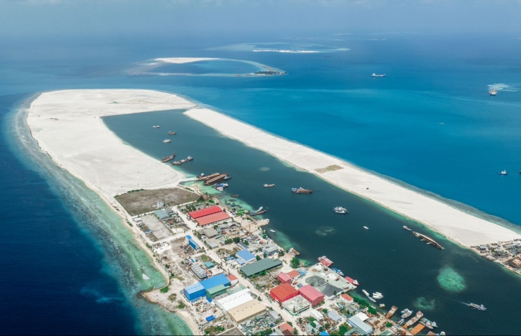 ސިނާއީ ބޭނުމަށް ތިލަފުށިން ބިން ވިއްކަނީ